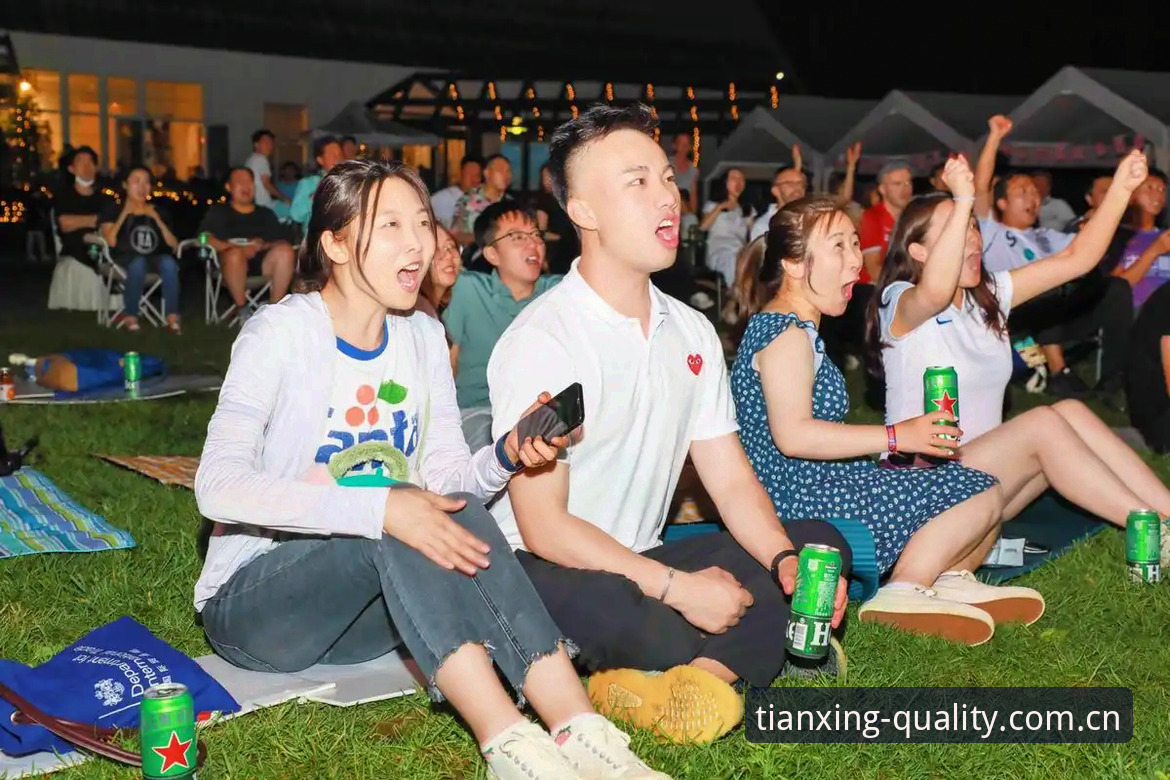 世界杯扩军至66队操作教程：从赛事解读到天行体育平台观赛指南
